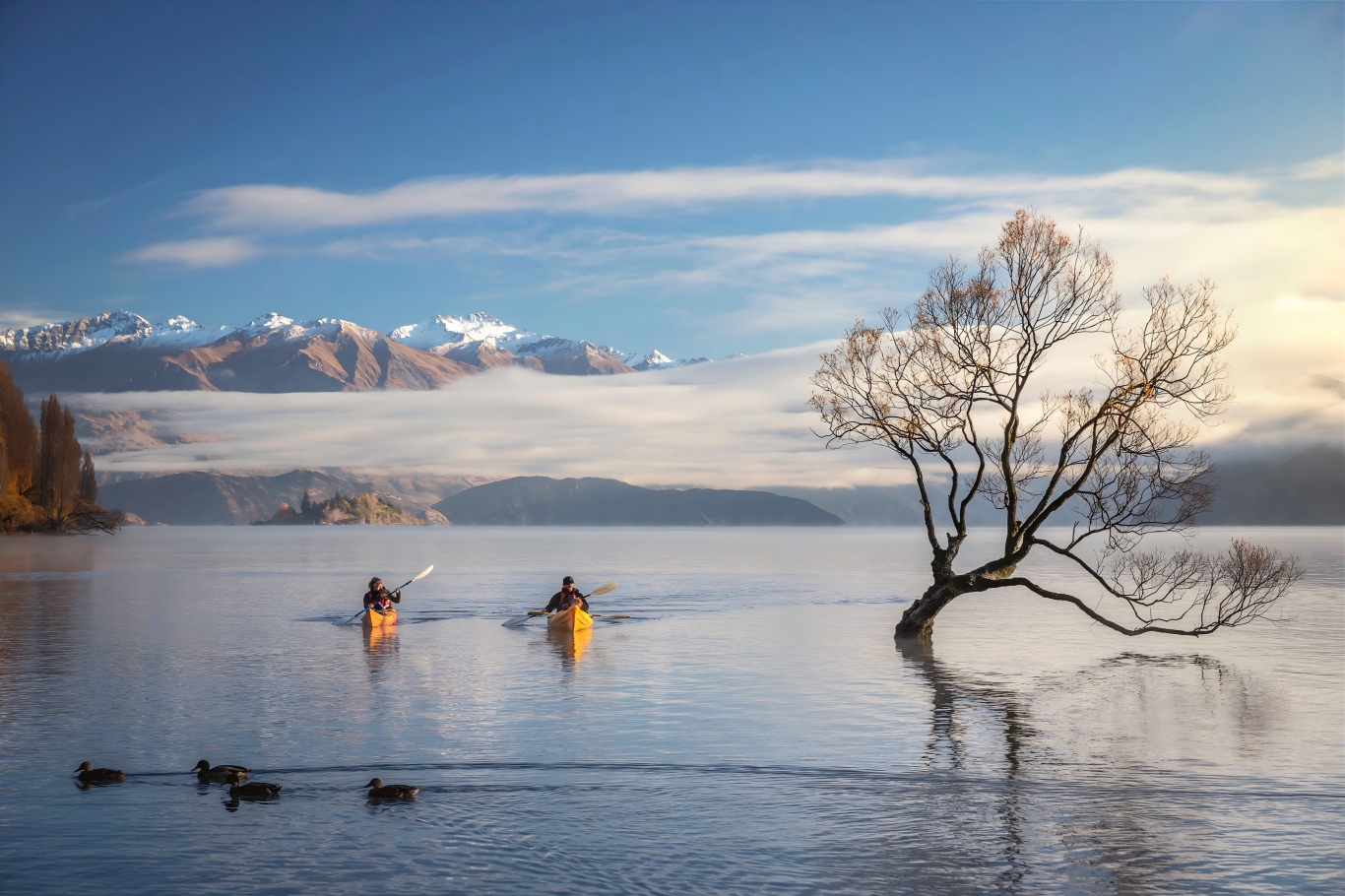 瓦纳卡 Wanaka