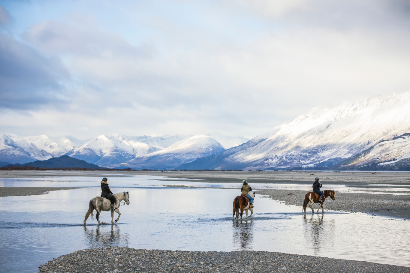 格林诺奇---骑马之旅 High Country Horses l Lighthorse Adventures