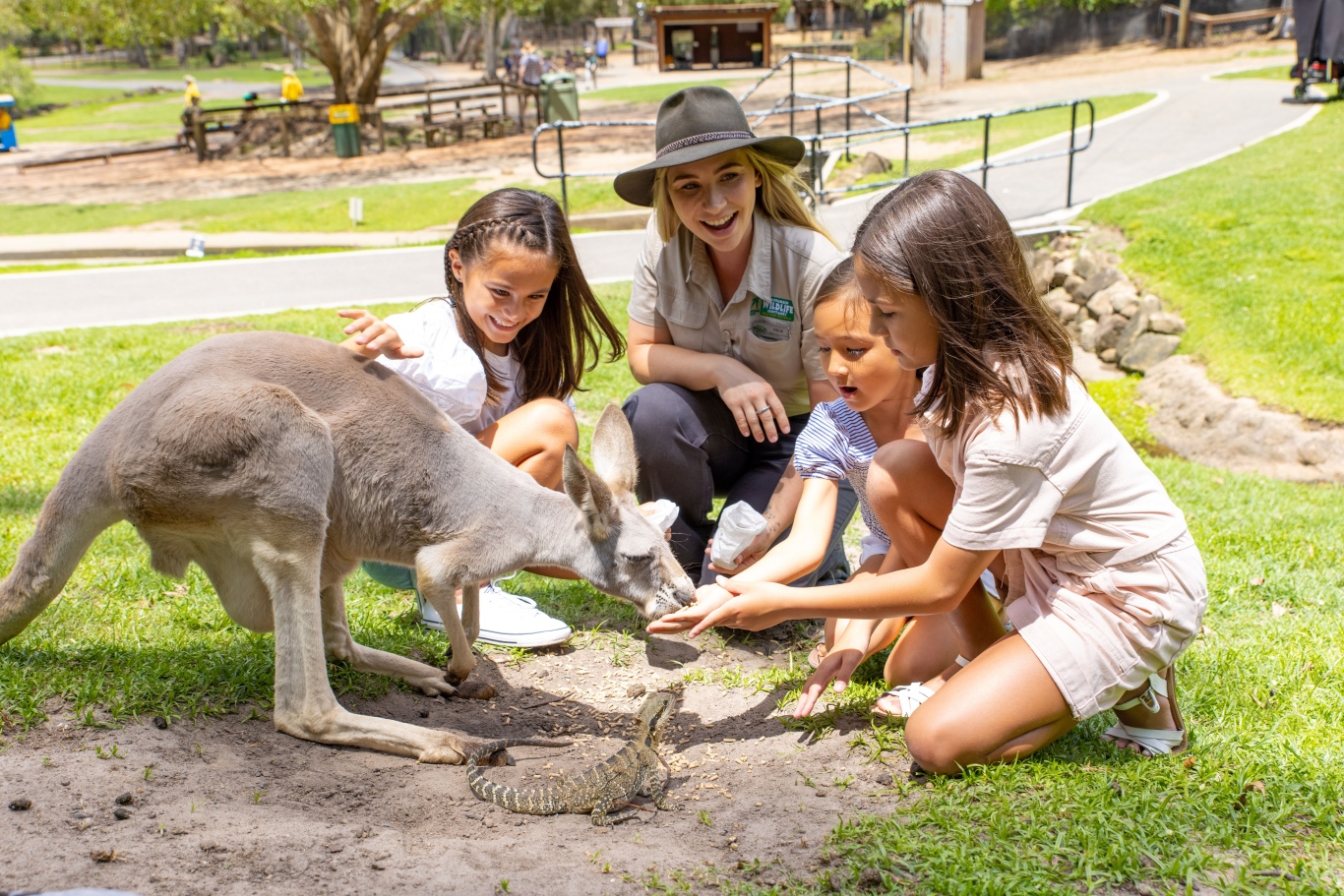 可伦宾野生动物保护区 Currumbin Wildlife Sanctuary