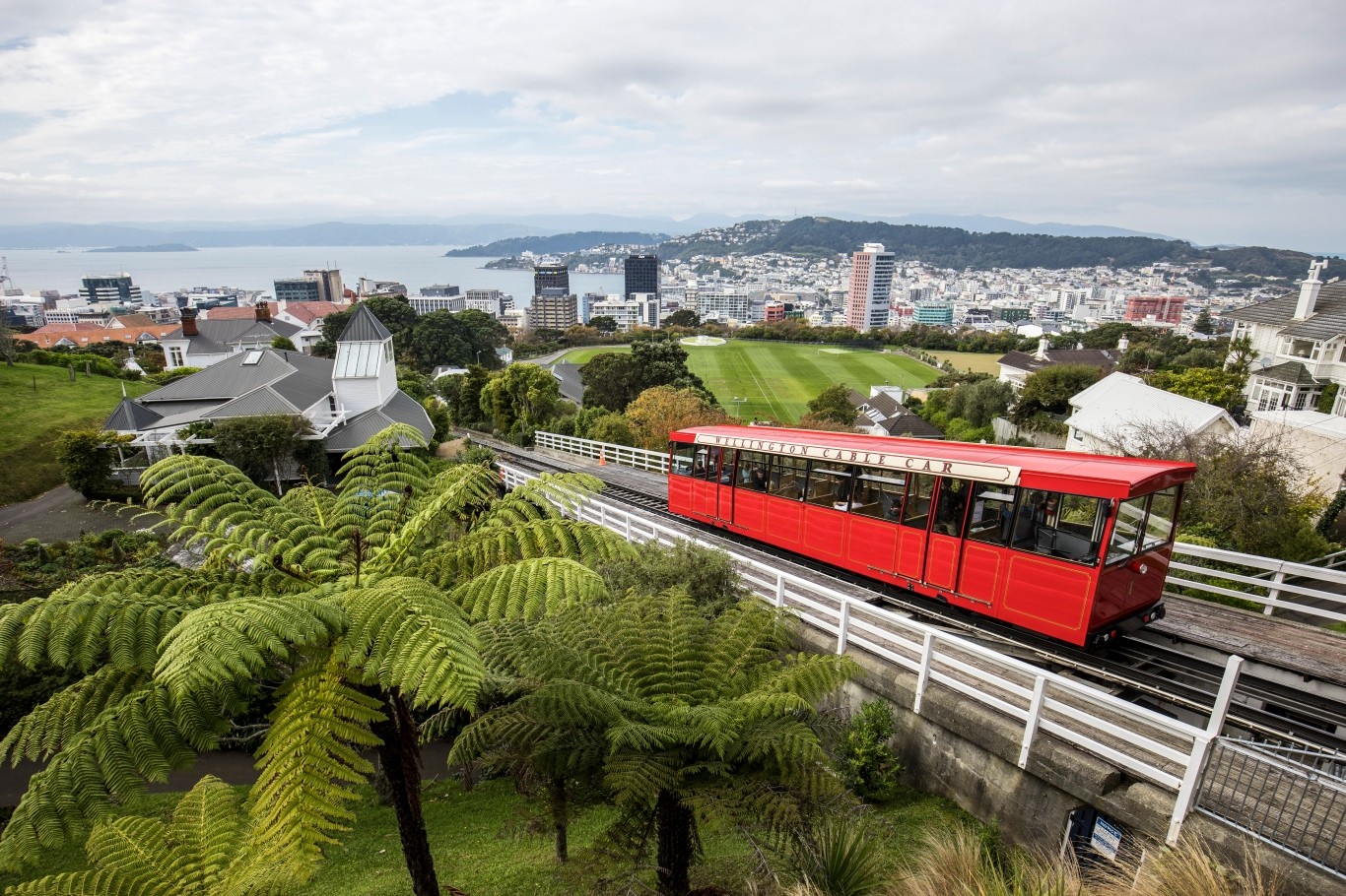 234007-wellington-city-wellington (1)(1).jpg