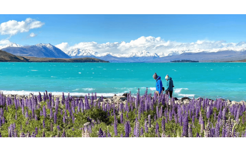 蒂卡波湖 Lake Tekapo