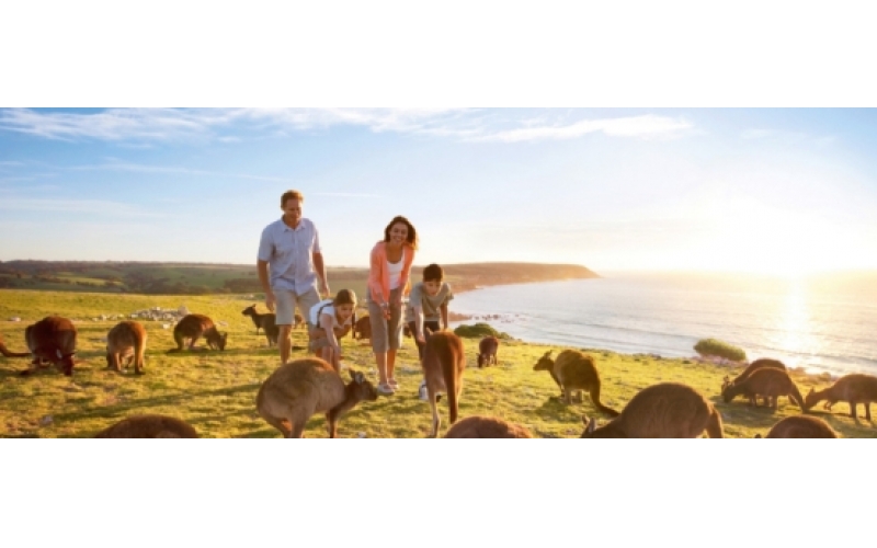 阿德莱德 Adelaide