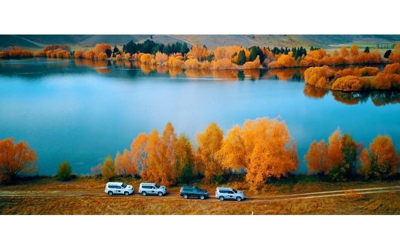 新西兰自驾安全宝典